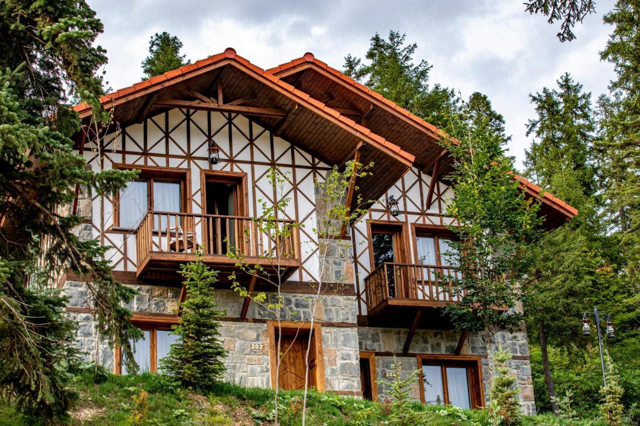 Foleya Mountain Resort Hotel & Villas Трабзон Экстерьер фото